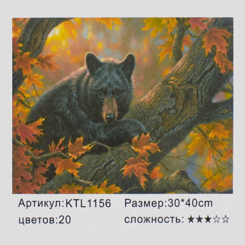 Картина по номерам (KTL 1156) 40х30 см