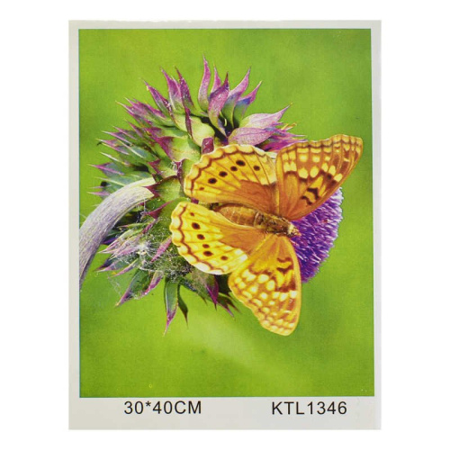 Картина по номерам (KTL 1346) 40х30