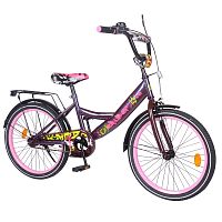 Велосипед двухколесный Explorer 20" (T-220116 purple_pink)