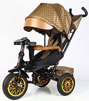 Детский трехколесный Велосипед BestTrike "Perfetto" (8066 / 910-25) поворотное сидение