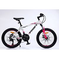 Велосипед спортивный 20 д. (G20OPTIMAL A20.5)