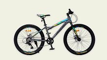 Велосипед двухколесный Like2bike Aggressor 24" (A202402) Серый
