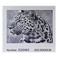 Алмазная мозаика (JS 20465) 30х20