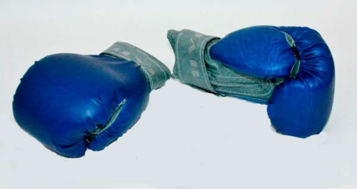 Перчатки боксерские (19105)