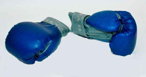 Детские боксерские перчатки ТМ JAB (17378) 10 унций