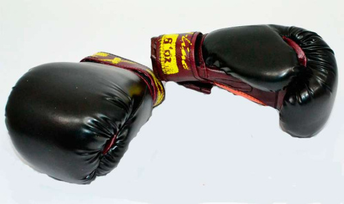 Боксерские перчатки ТМ JAB (17369) на липучке
