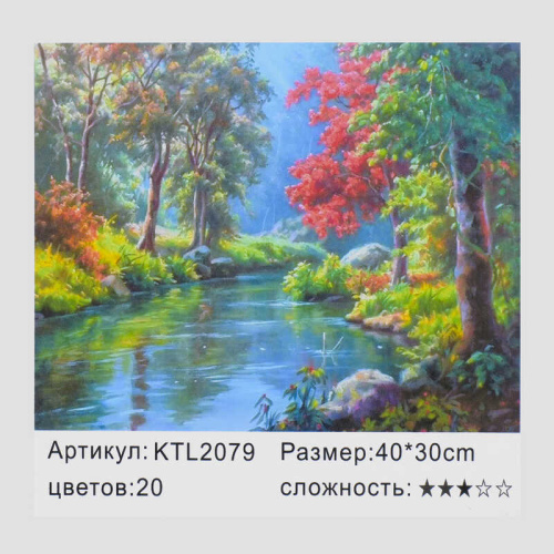 Картина по номерам (KTL 2079) 40х30 см