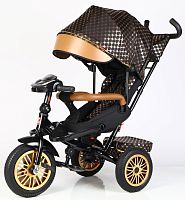 Детский трехколесный Велосипед BestTrike "Perfetto" (8066 / 515-09) поворотное сидение