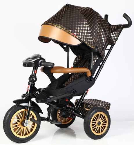 Детский трехколесный Велосипед BestTrike "Perfetto" (8066 / 515-09) поворотное сидение