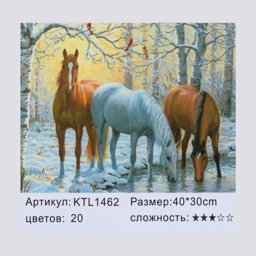 Картина по номерам (KTL 1462) 40х30 см