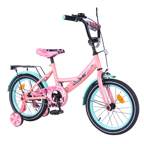 Велосипед двухколесный Explorer 16" (T-216116 pink_green)